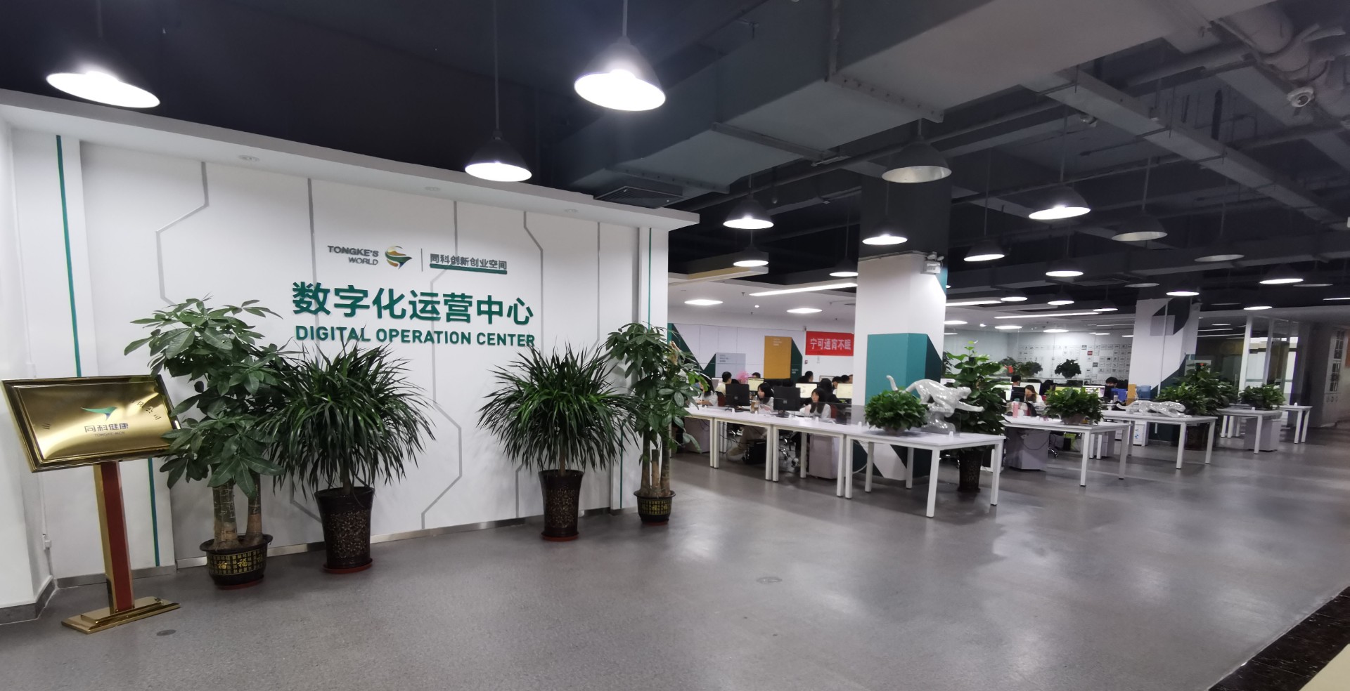 业务版块
